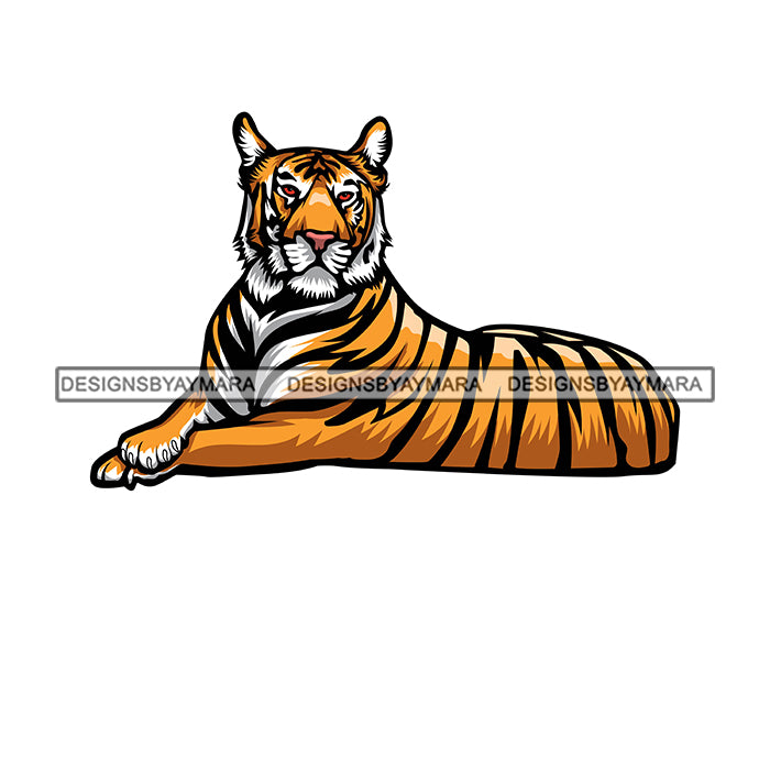 Tiger Svg Tiger Stencil svg Wild Animals Clip art clipart Silhouette B