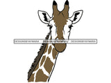 Giraffe Animal Africa Long Neck Safari Animals Close-up Bizarre Staring Tall High .EPS .PNG Vector Clipart Not for Cutting