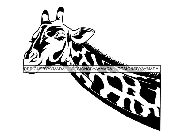 Giraffe Animal Africa Long Neck Safari Animals Close-up Bizarre Staring Tall High .SVG .EPS .PNG Vector Clipart Circuit Cricut  Cut Cutting