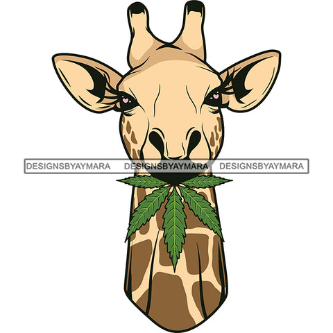 Giraffe Eating Weed Leaves Graphic Clipart  SVG JPG PNG Vector Clipart Cricut Silhouette Cut Cutting1