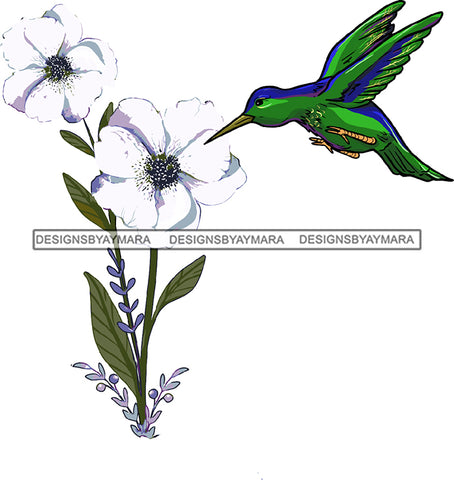 Green Blue Hummingbird Birds Flying White Flowers Bird Flower Leaves Leaf SVG JPG PNG Vector Clipart Cricut Silhouette Cut Cutting