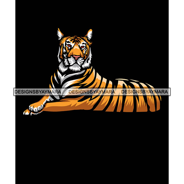 Tiger Bengal Body Animal Wild Mammal Jungle Aggressive Beast Designs For T-Shirt and Other Products SVG PNG JPG Cutting Files For Silhouette Cricut and More!