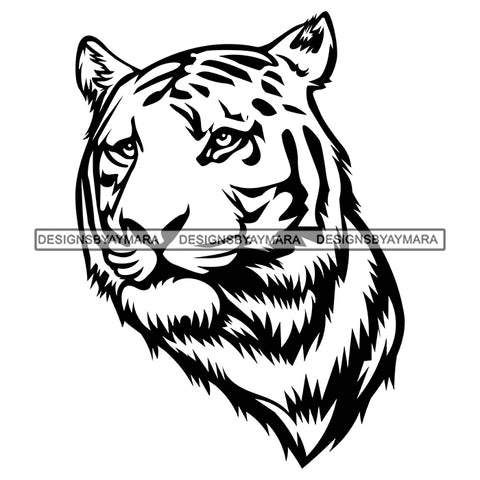 Tiger Head Bengal Head Mammal Carnivore Animal Stripes SVG PNG JPG Cut Files For Silhouette Cricut and More!