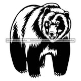 Big Bear Full Body Mammal Animal Wild Wildlife Danger Nature SVG PNG JPG Cut Files For Silhouette Cricut and More!