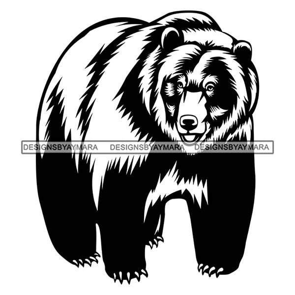 Big Bear Full Body Mammal Animal Wild Wildlife Danger Nature SVG PNG JPG Cut Files For Silhouette Cricut and More!