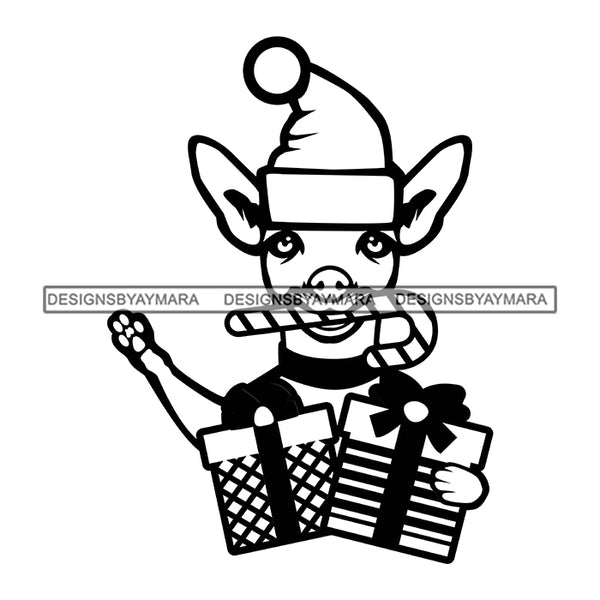 Chihuahua Dog Wearing Santa Hat Holding Christmas Box Gifts Surprise Merry Christmas Happy Holyday Santa Outfit Santa Hat SVG PNG JPG Cut Files For Silhouette Cricut and More!