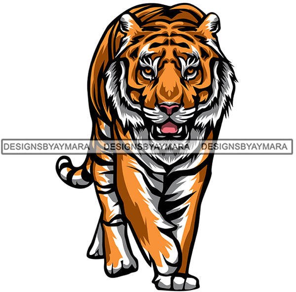 Tiger Bengal Wild Animal Danger Mammal Carnivore Strength Power SVG PNG JPG Cut Files For Silhouette Cricut and More!