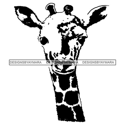 Giraffe Head Cute Animal Mammal Wildlife Vector Designs For T-Shirt and Other Products SVG PNG JPG Cut Files For Silhouette Cricut and More!