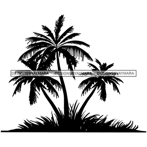 Palm Tree Beach Florida Caribbean Nature Silhouette Vector Designs For T-Shirt and Other Products SVG PNG JPG Cut Files For Silhouette Cricut and More!