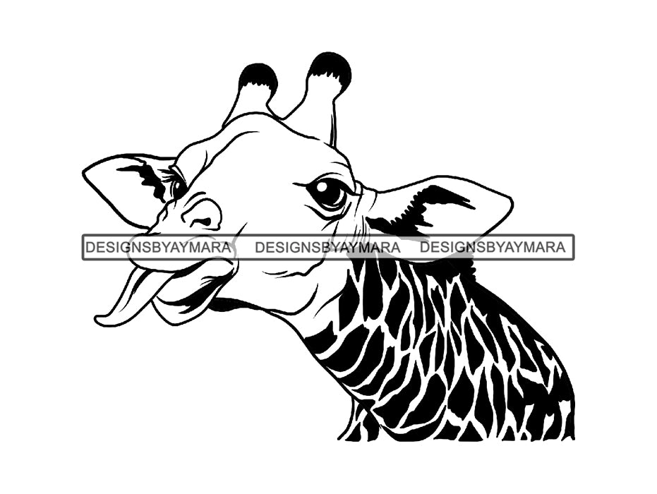 Giraffe Animal Africa Long Neck Safari Animals Close-up Bizarre Starin ...