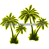 Palm Tree With Green Leaves Coconut Palm Tree White Background Set Tree Silhouettes Tropical Palm Vector SVG JPG PNG Vector Clipart Cricut Cutting Files