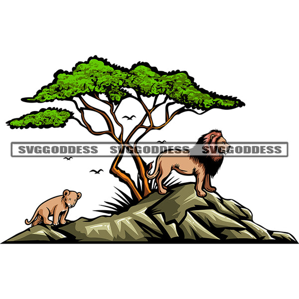 African American Nature Life Wild Life Big Tree And Lion And His Child On Rock Design Element White Background SVG JPG PNG Vector Clipart Cricut Silhouette Cut Cutting