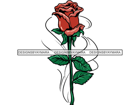 Beautiful Single Red Rose Pink JPG PNG Clipart Cricut Silhouette Cut Cutting